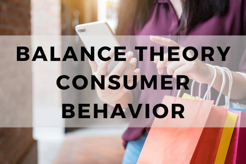 Balance Theory Consumer Behavior
